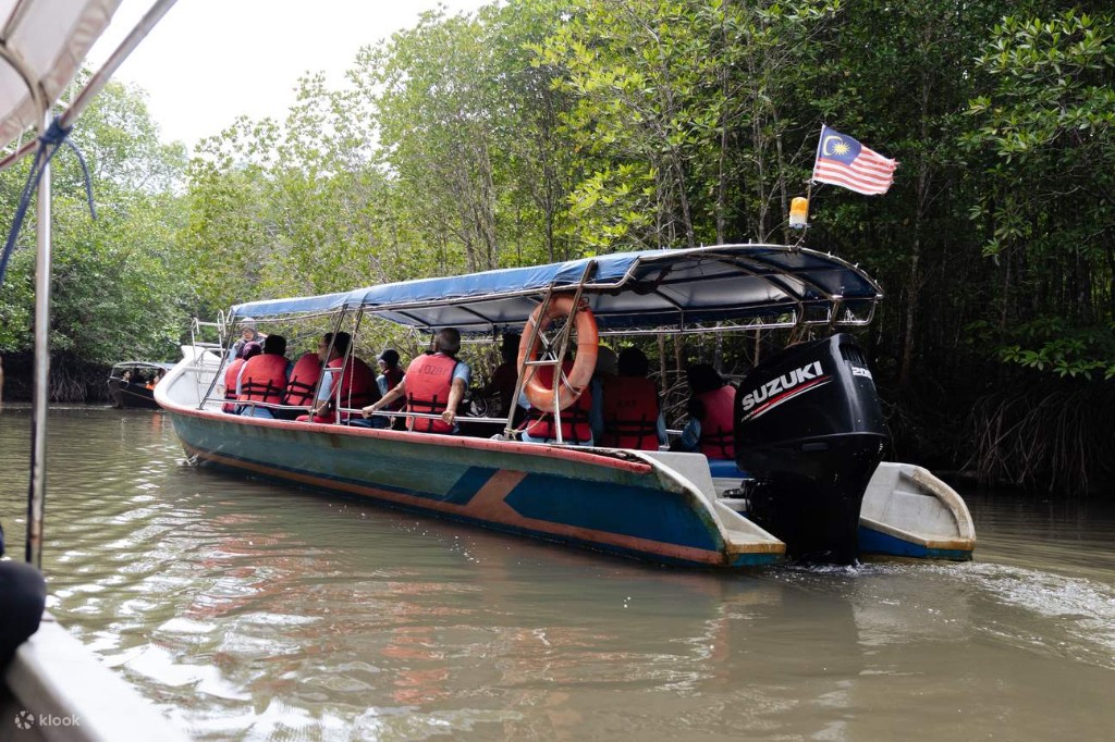Mangrove tour in Langkawi